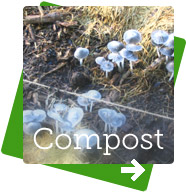 BioVitall Powder for compost